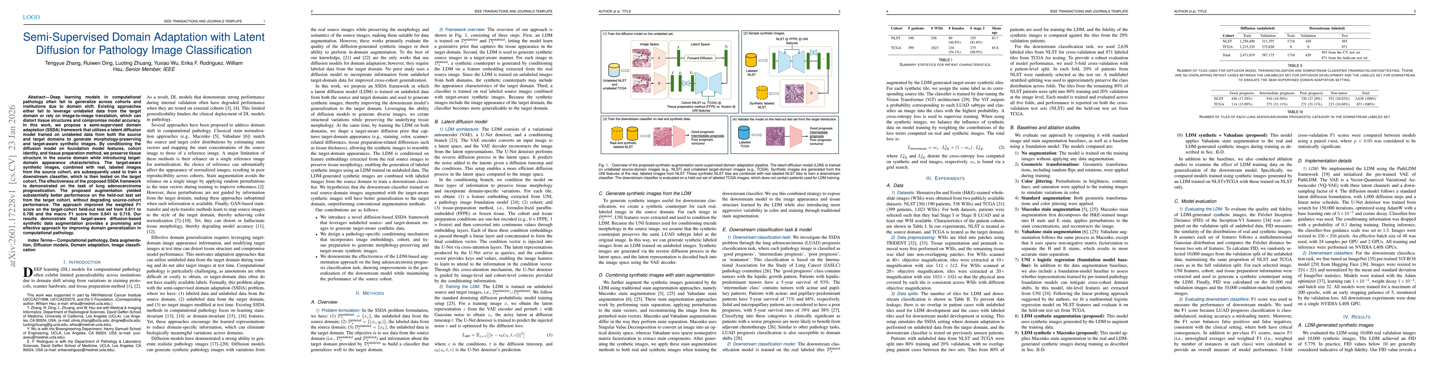 Thumbnail for Semi-Supervised Domain Adaptation with Latent Diffusion for Pathology Image Classification