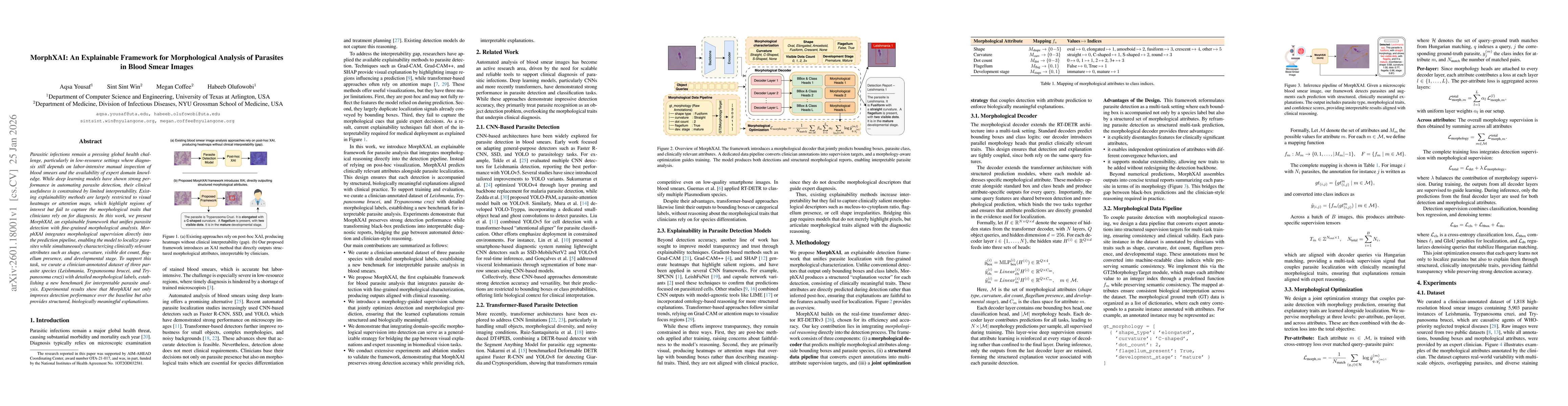 Thumbnail for MorphXAI: An Explainable Framework for Morphological Analysis of Parasites in Blood Smear Images