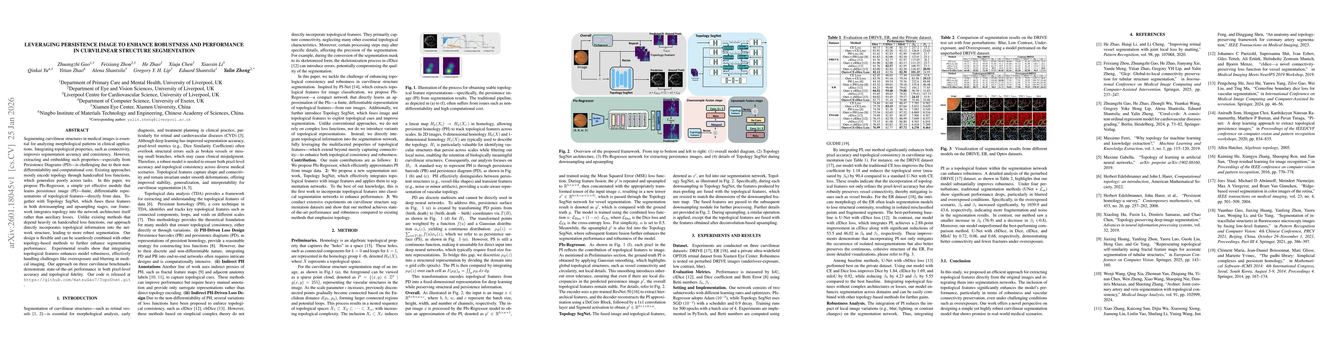 Thumbnail for Leveraging Persistence Image to Enhance Robustness and Performance in Curvilinear Structure Segmentation