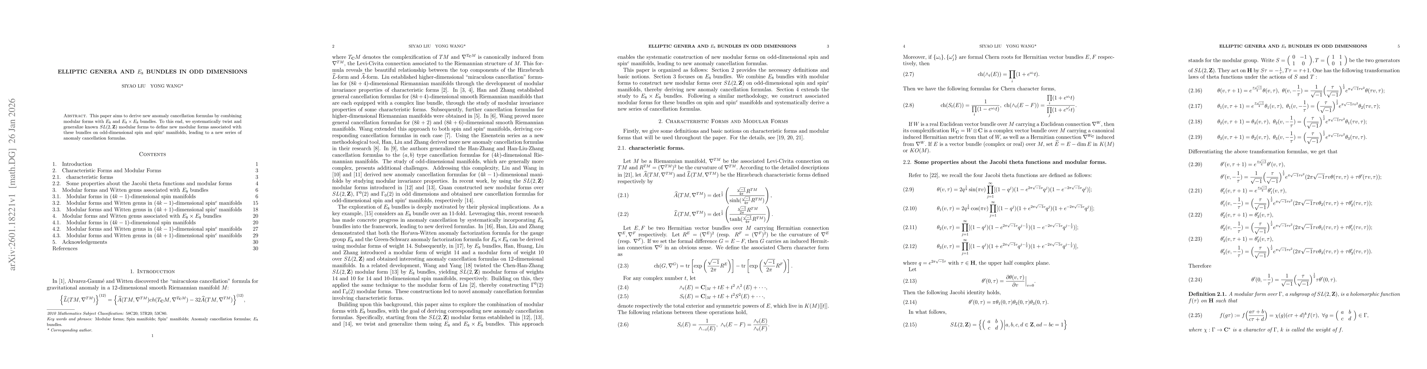 Thumbnail for Elliptic genera and E8 Bundles in odd dimensions