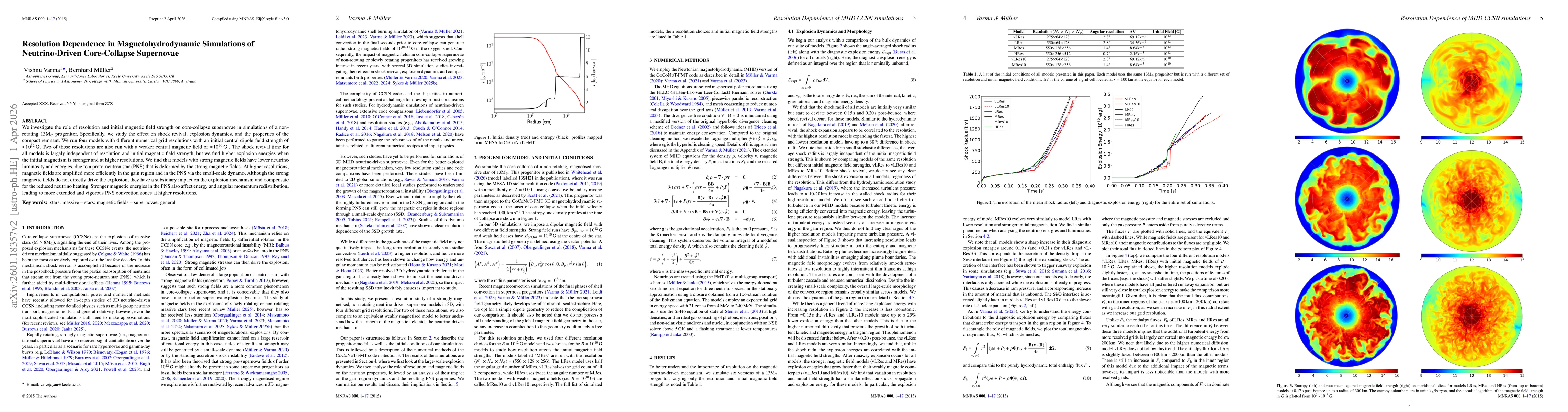 Thumbnail for Resolution Dependence in Magnetohydrodynamic Simulations of Neutrino-Driven Core-Collapse Supernovae