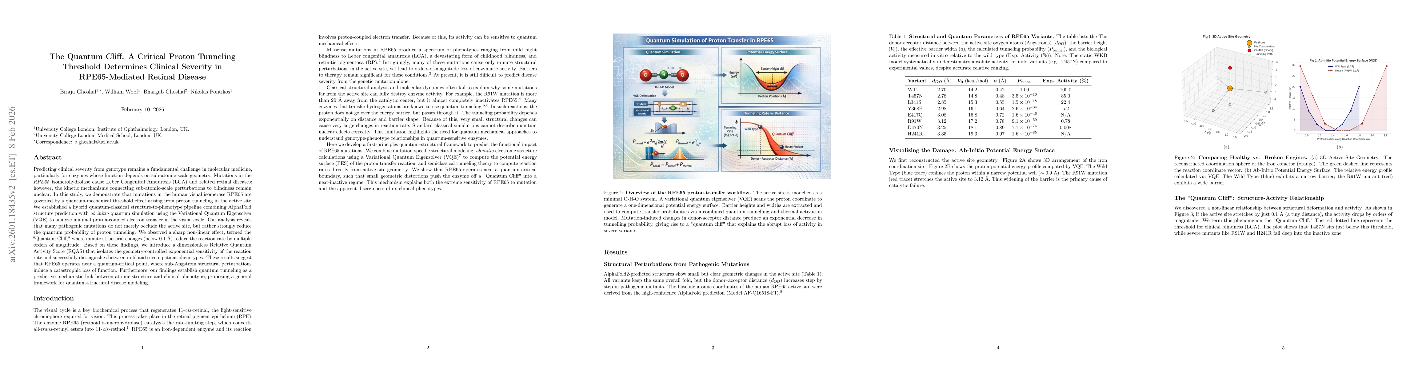 Thumbnail for The Quantum Cliff: A Critical Proton Tunneling Threshold Determines Clinical Severity in RPE65-Mediated Retinal Disease