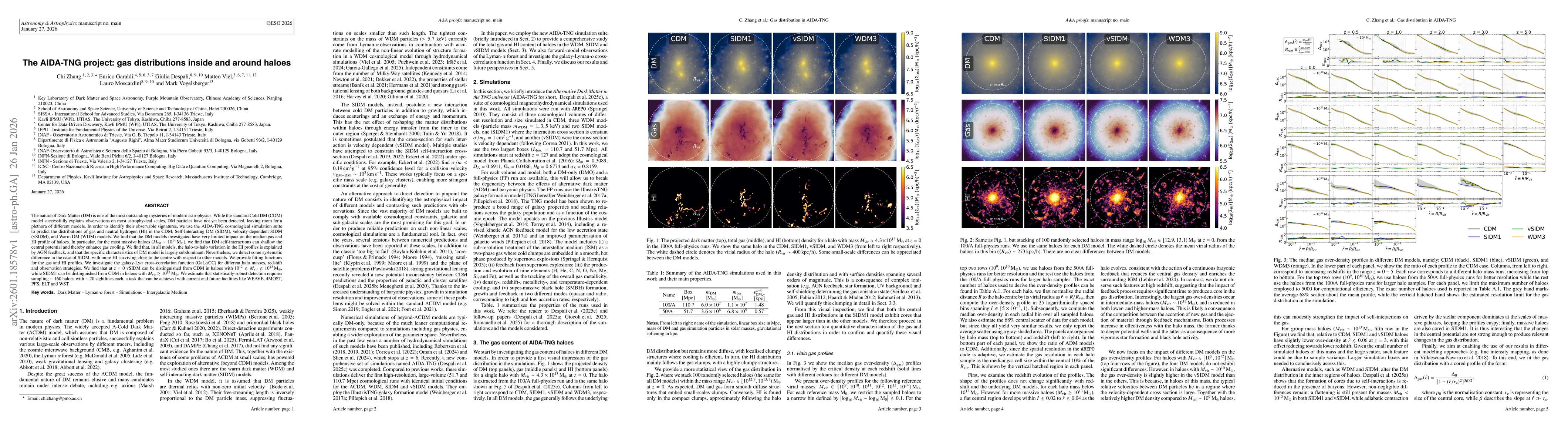 Thumbnail for The AIDA-TNG project: gas distributions inside and around haloes