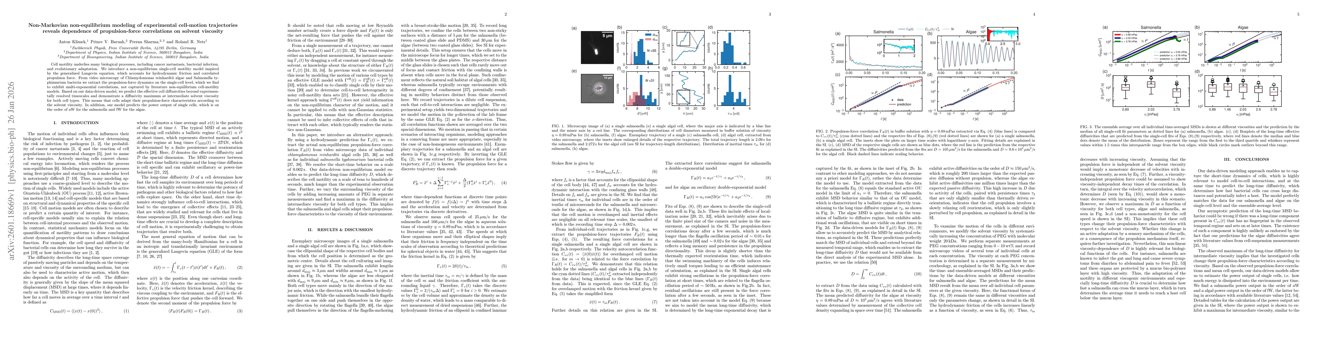 Thumbnail for Non-Markovian non-equilibrium modeling of experimental cell-motion trajectories reveals dependence of propulsion-force correlations on solvent viscosity
