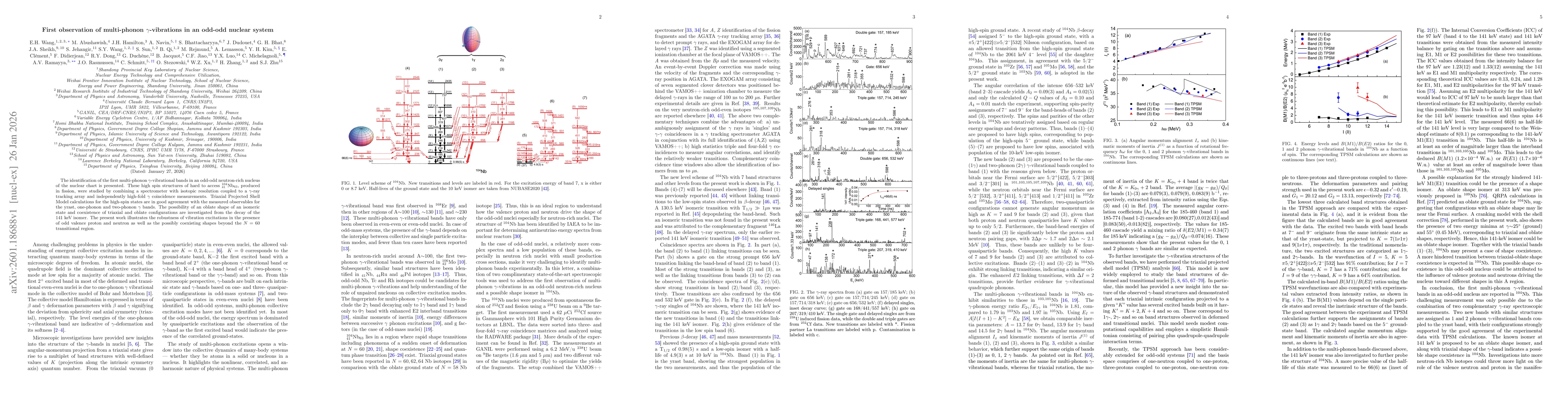 Thumbnail for First observation of multi-phonon $γ$-vibrations in an odd-odd nuclear system