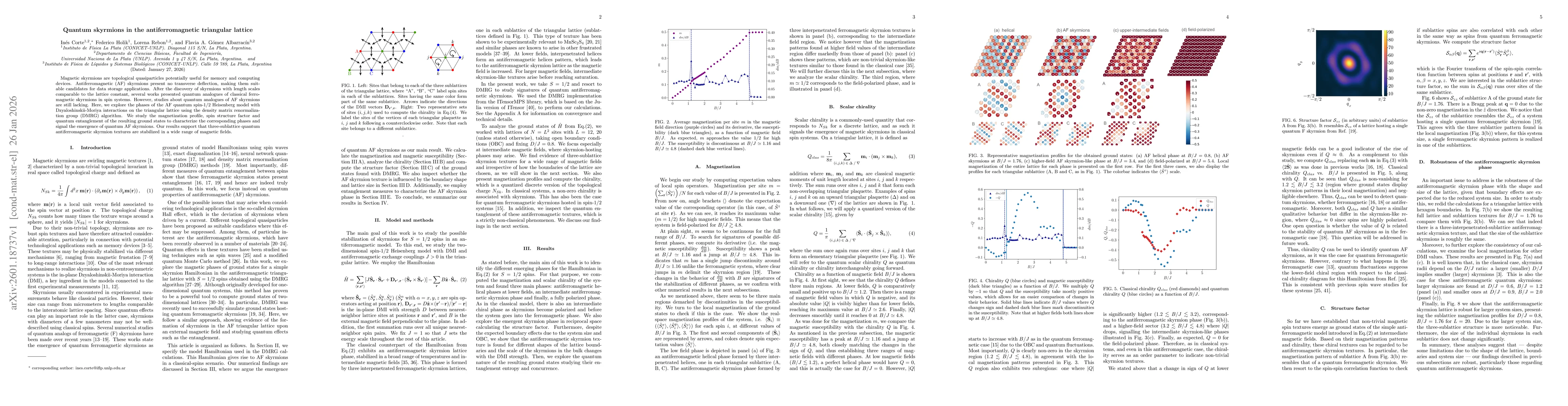 Thumbnail for Quantum skyrmions in the antiferromagnetic triangular lattice