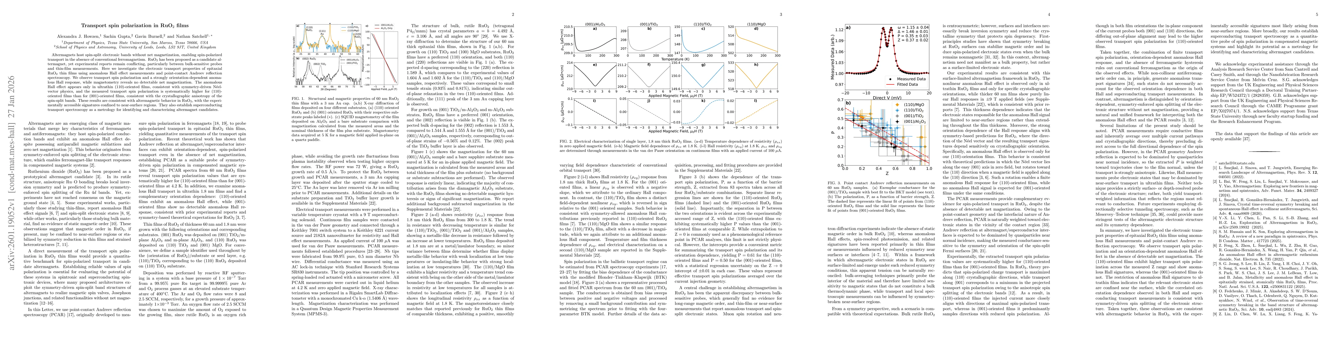 Thumbnail for Transport spin polarization in RuO$_2$ films