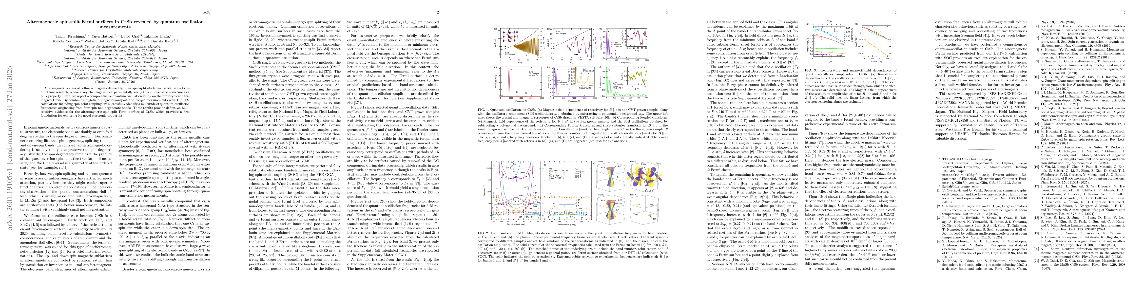 Thumbnail for Altermagnetic spin-split Fermi surfaces in CrSb revealed by quantum oscillation measurements