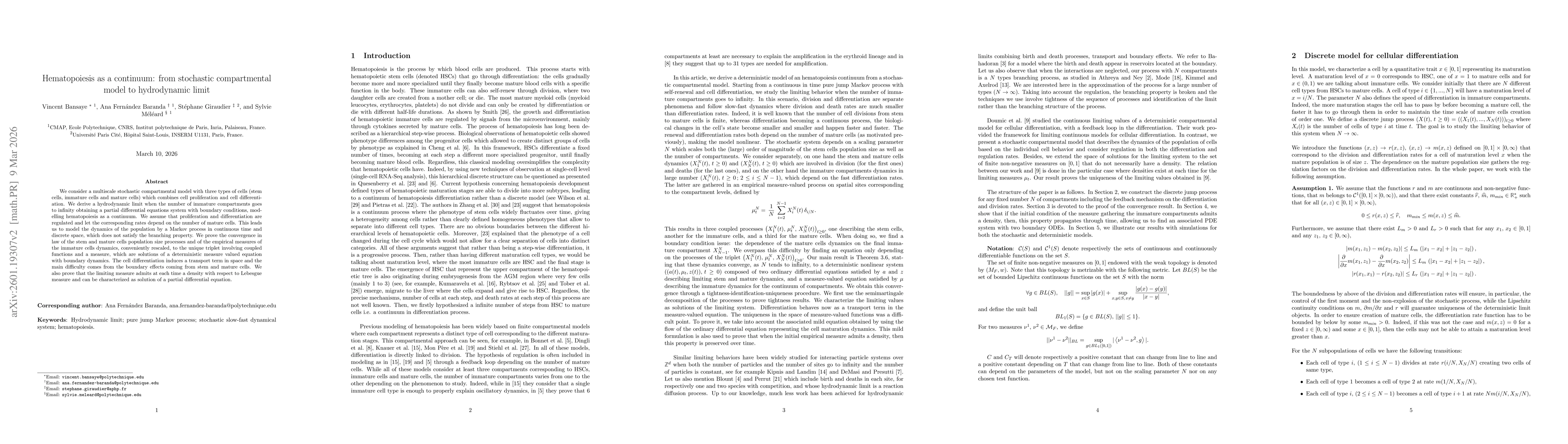 Thumbnail for Hematopoiesis as a continuum: from stochastic compartmental model to hydrodynamic limit