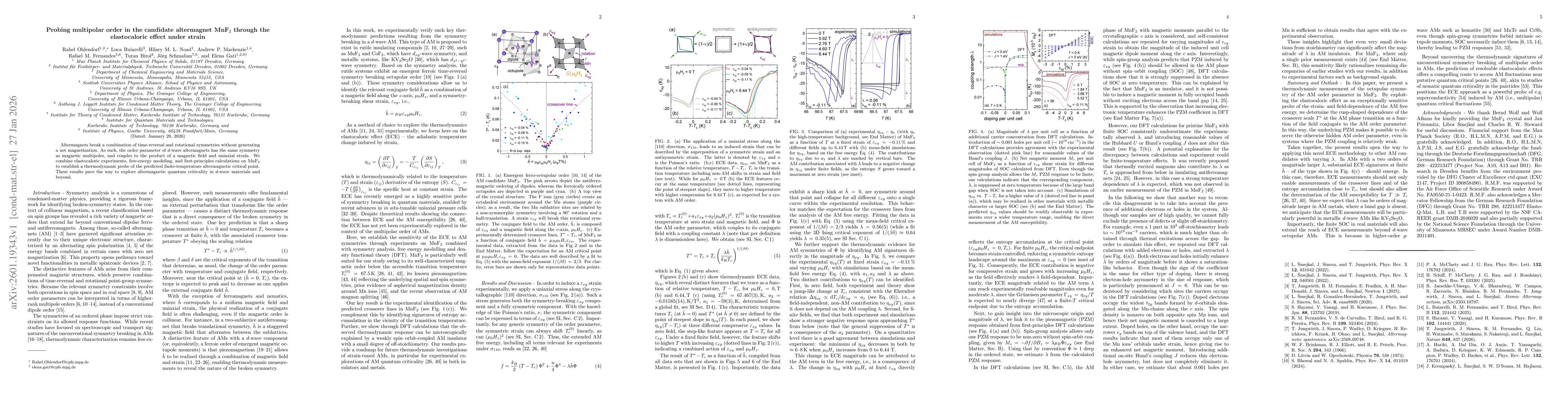 Thumbnail for Probing multipolar order in the candidate altermagnet MnF$_2$ through the elastocaloric effect under strain