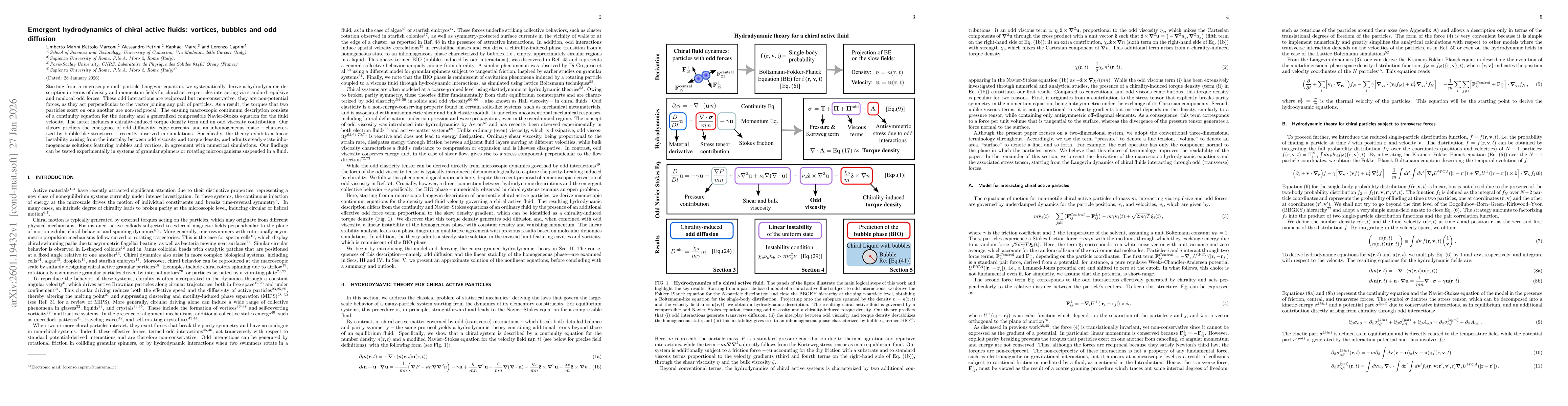 Thumbnail for Emergent hydrodynamics of chiral active fluids: vortices, bubbles and odd diffusion
