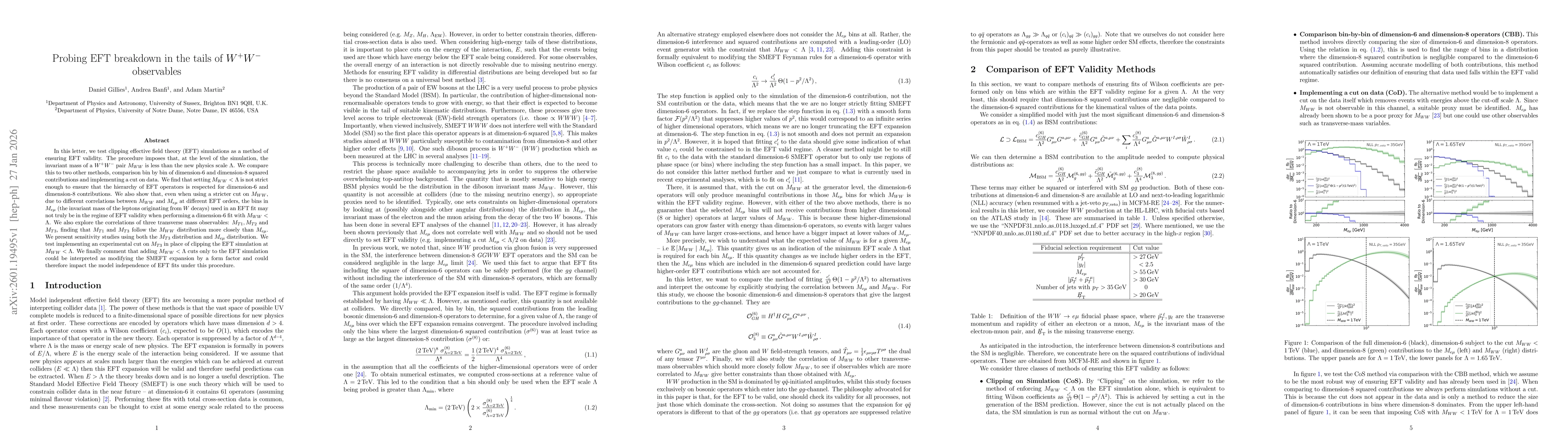 Thumbnail for Probing EFT breakdown in the tails of $W^+ W^-$ observables