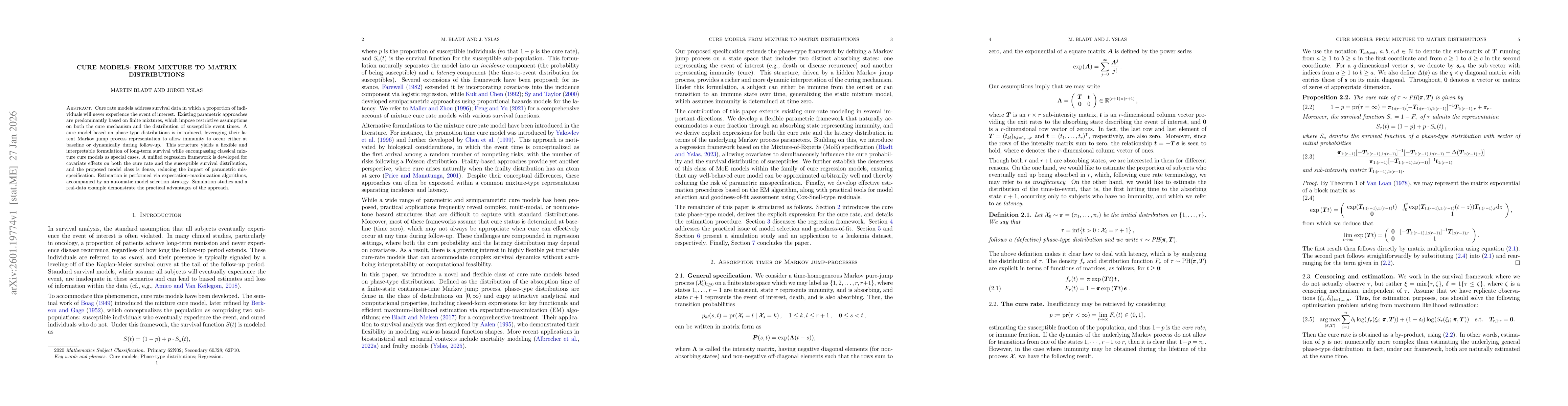 Thumbnail for Cure models: from mixture to matrix distributions