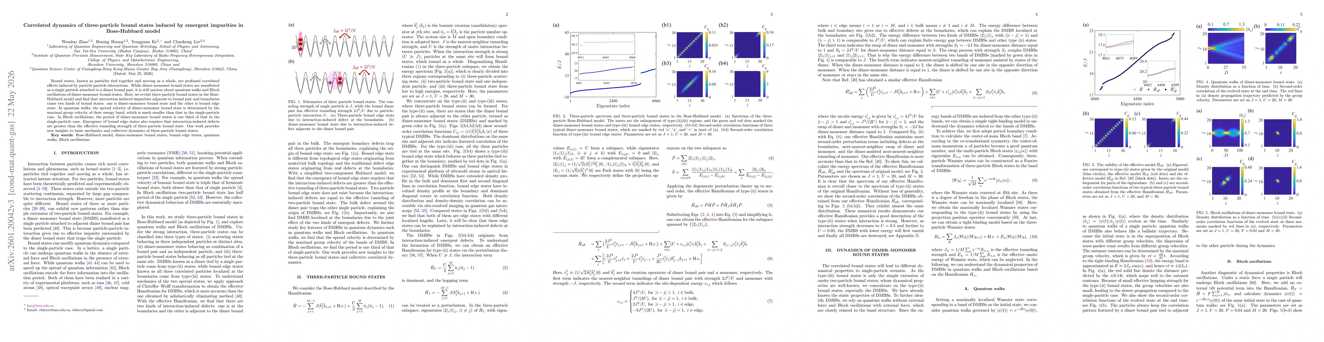Thumbnail for Correlated dynamics of three-particle bound states induced by emergent impurities in Bose-Hubbard model