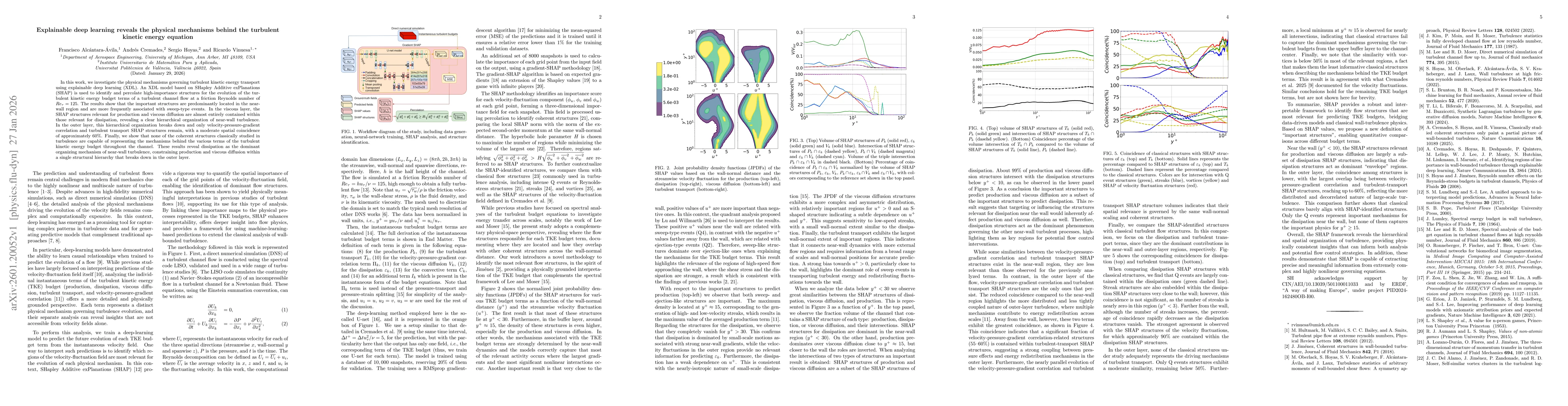 Thumbnail for Explainable deep learning reveals the physical mechanisms behind the turbulent kinetic energy equation