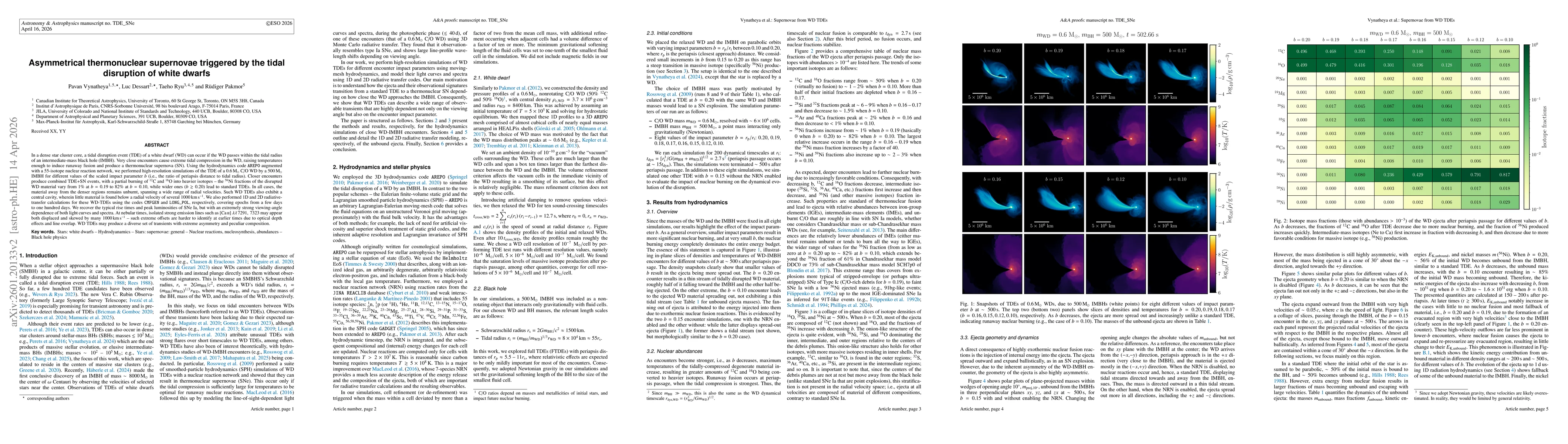 Thumbnail for Asymmetrical thermonuclear supernovae triggered by the tidal disruption of white dwarfs