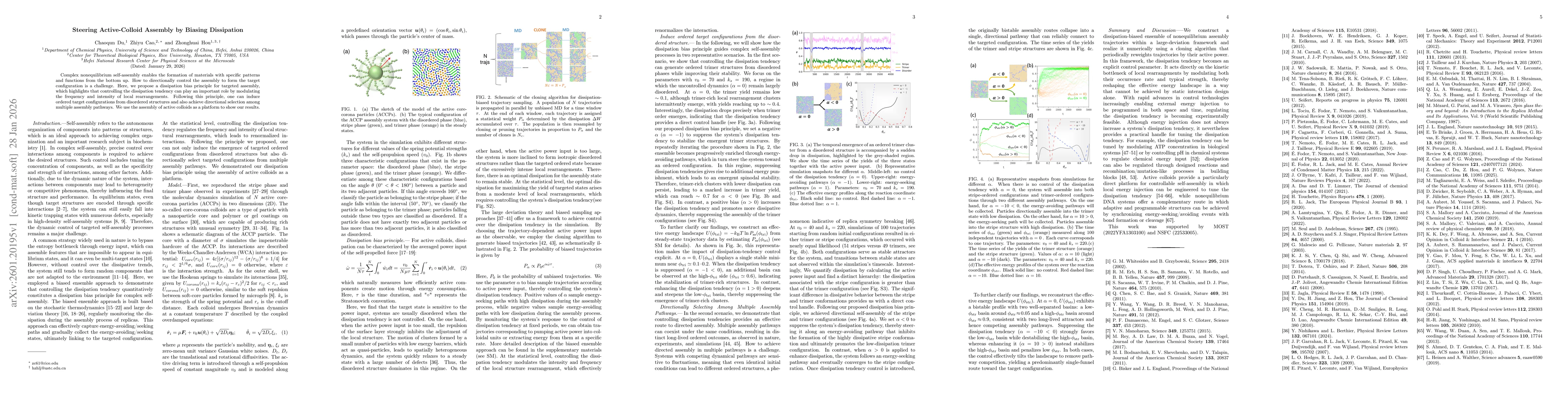 Thumbnail for Steering Active-Colloid Assembly by Biasing Dissipation