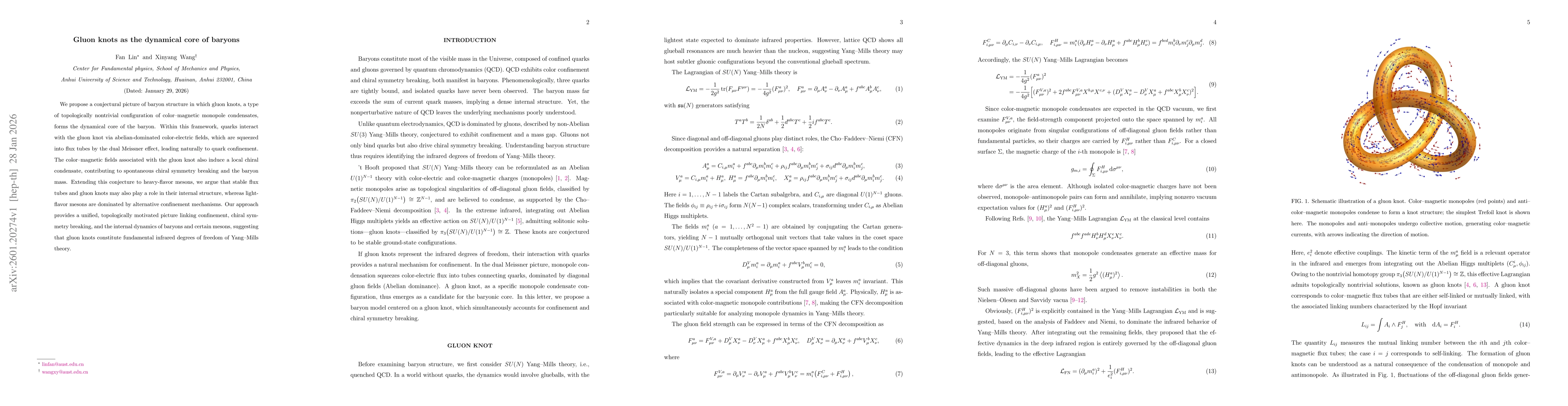 Thumbnail for Gluon knots as the dynamical core of baryons