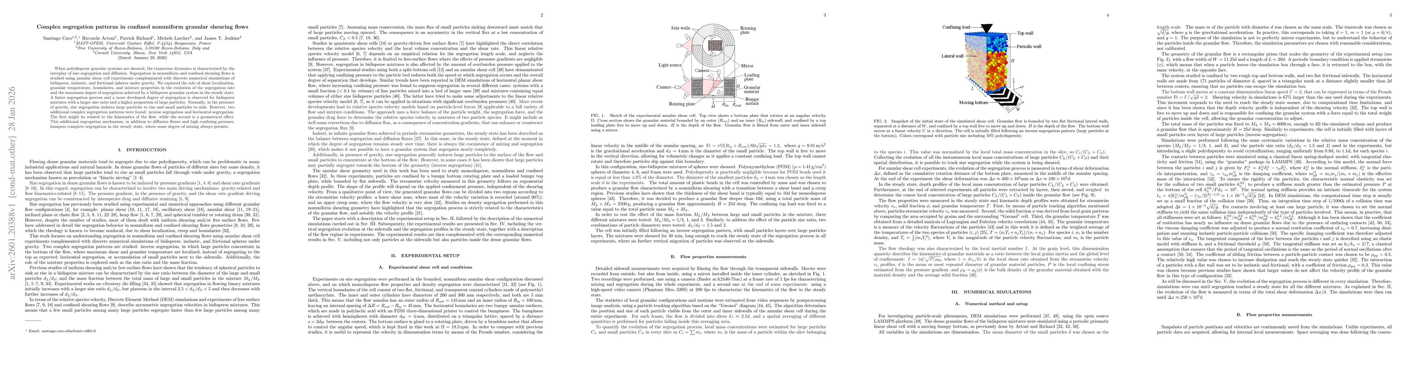 Thumbnail for Complex segregation patterns in confined nonuniform granular shearing flows