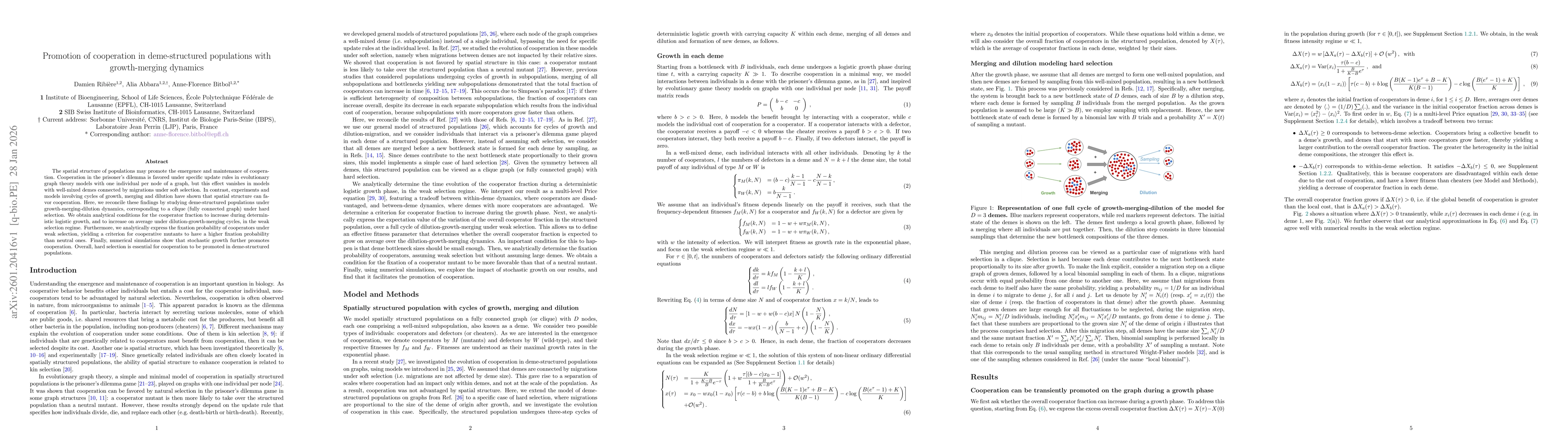 Thumbnail for Promotion of cooperation in deme-structured populations with growth-merging dynamics