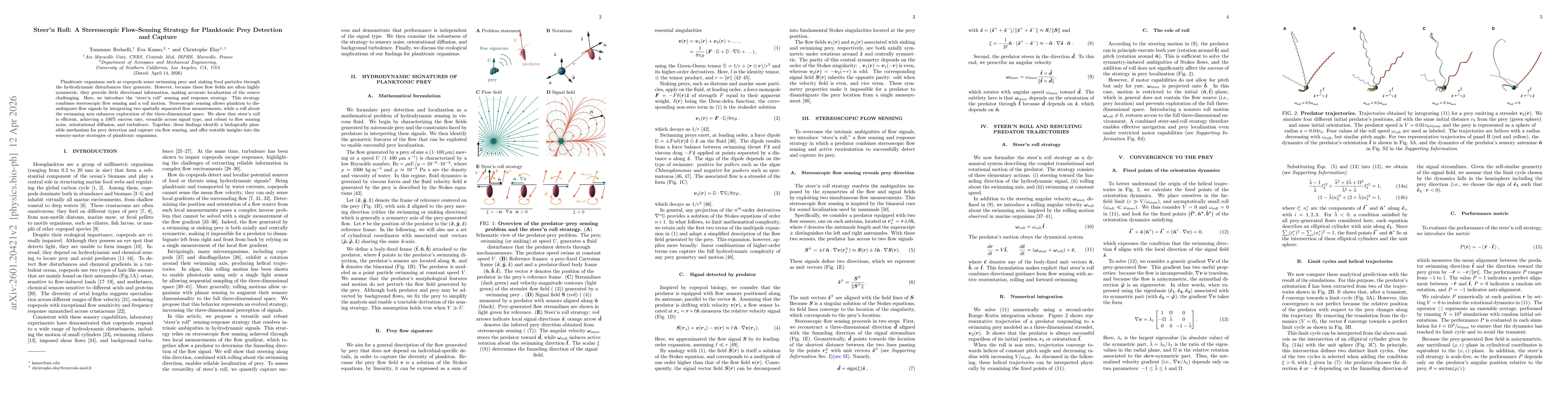 Thumbnail for Steer'n Roll: A Stereoscopic Flow-Sensing Strategy for Planktonic Prey Detection and Capture