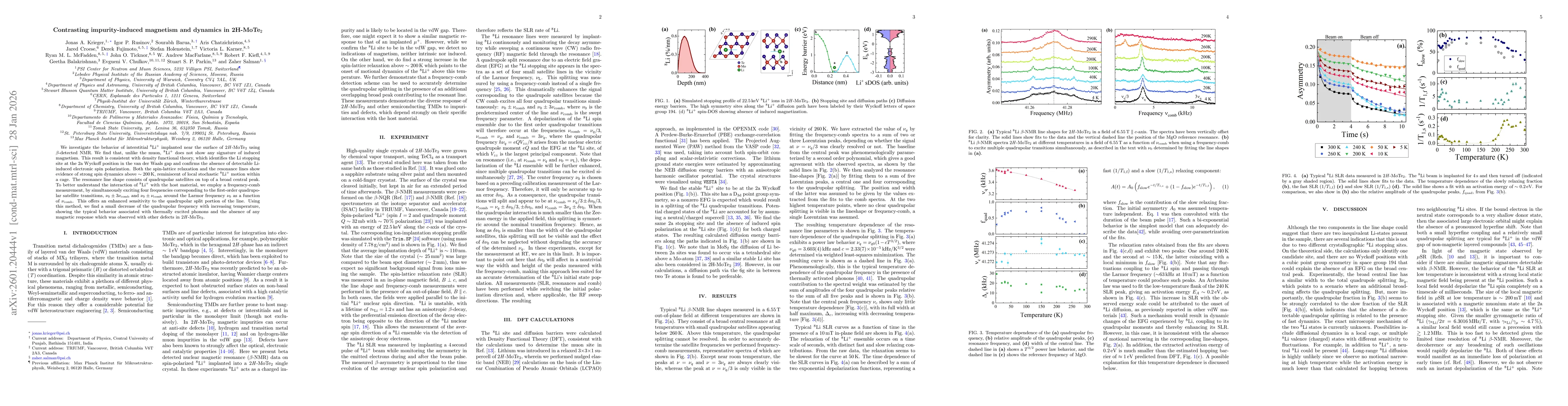 Thumbnail for Contrasting impurity-induced magnetism and dynamics in 2H-MoTe2