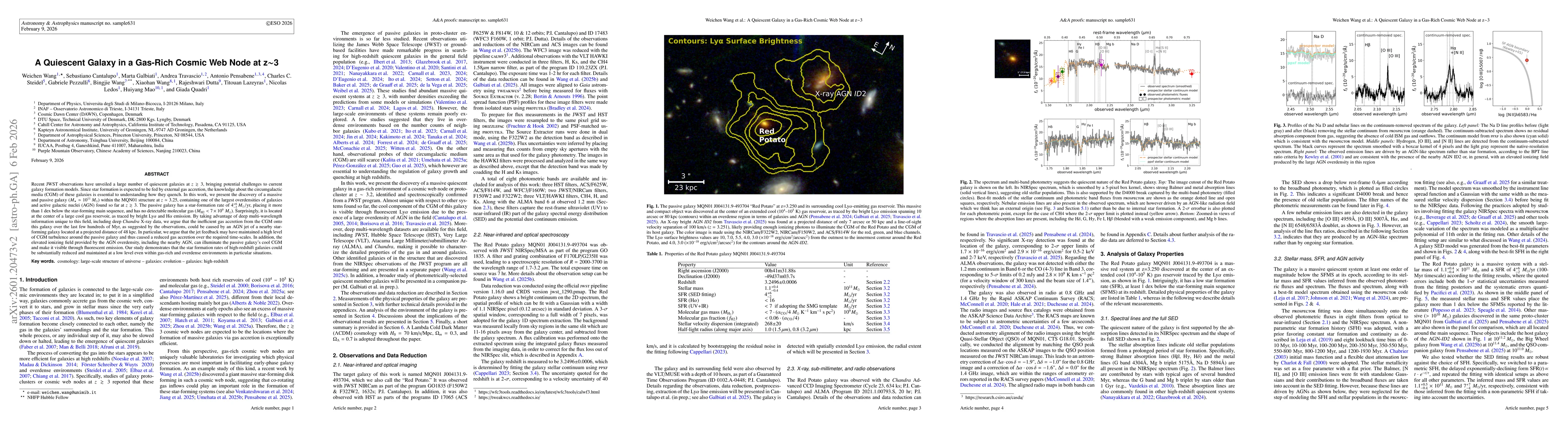 Thumbnail for A Quiescent Galaxy in a Gas-Rich Cosmic Web Node at z~3