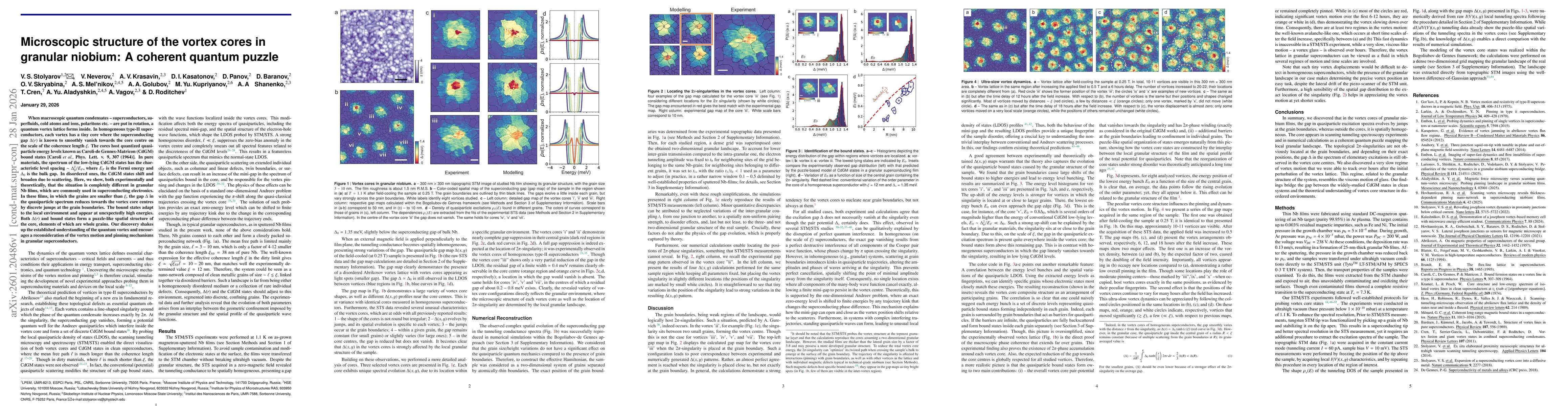 Thumbnail for Microscopic structure of the vortex cores in granular niobium: A coherent quantum puzzle