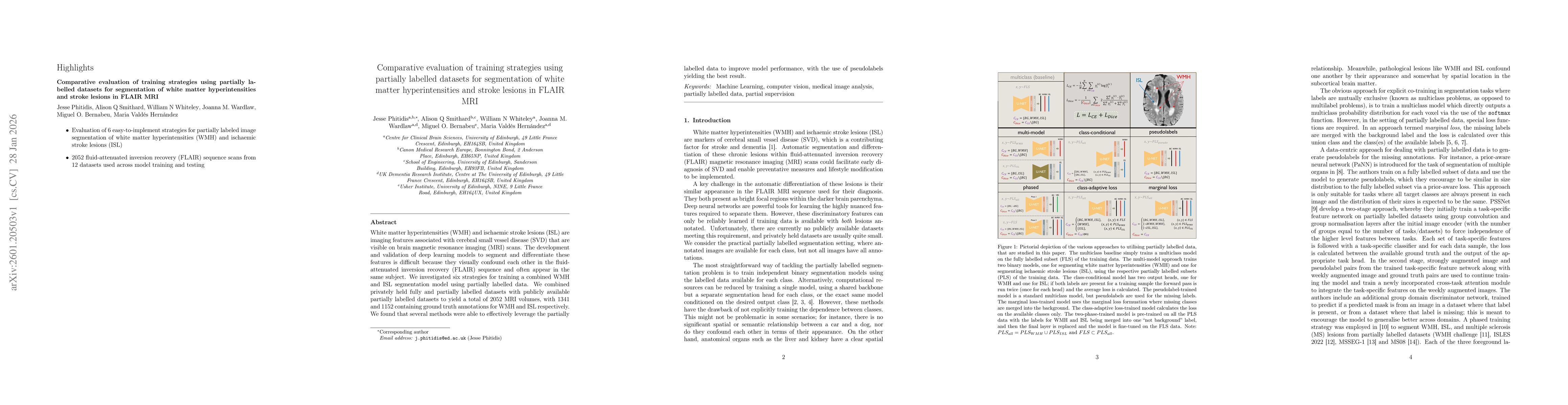 Thumbnail for Comparative evaluation of training strategies using partially labelled datasets for segmentation of white matter hyperintensities and stroke lesions in FLAIR MRI