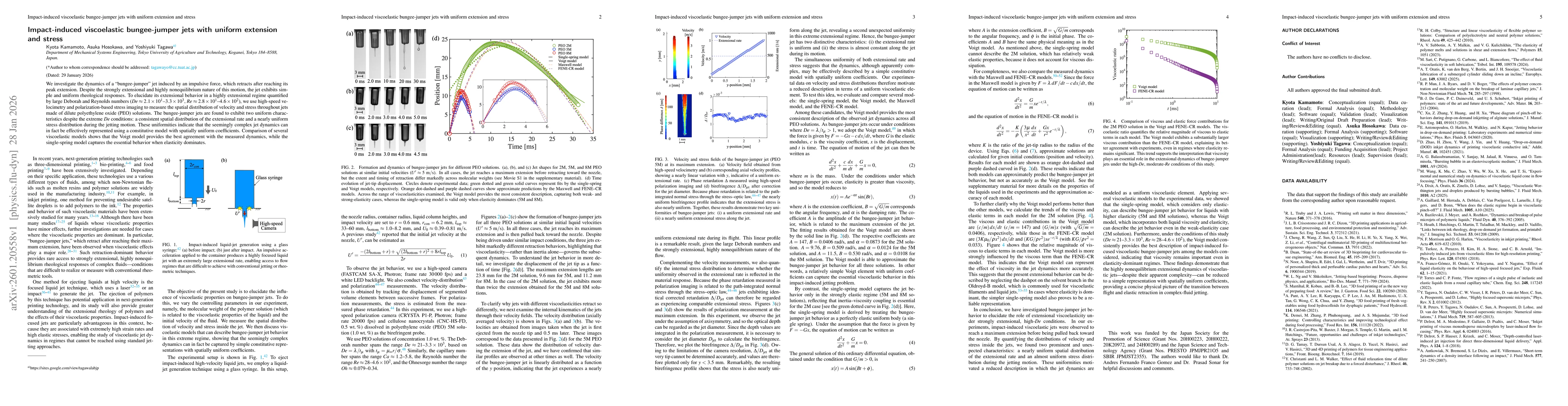 Thumbnail for Impact-induced viscoelastic bungee-jumper jets with uniform extension and stress