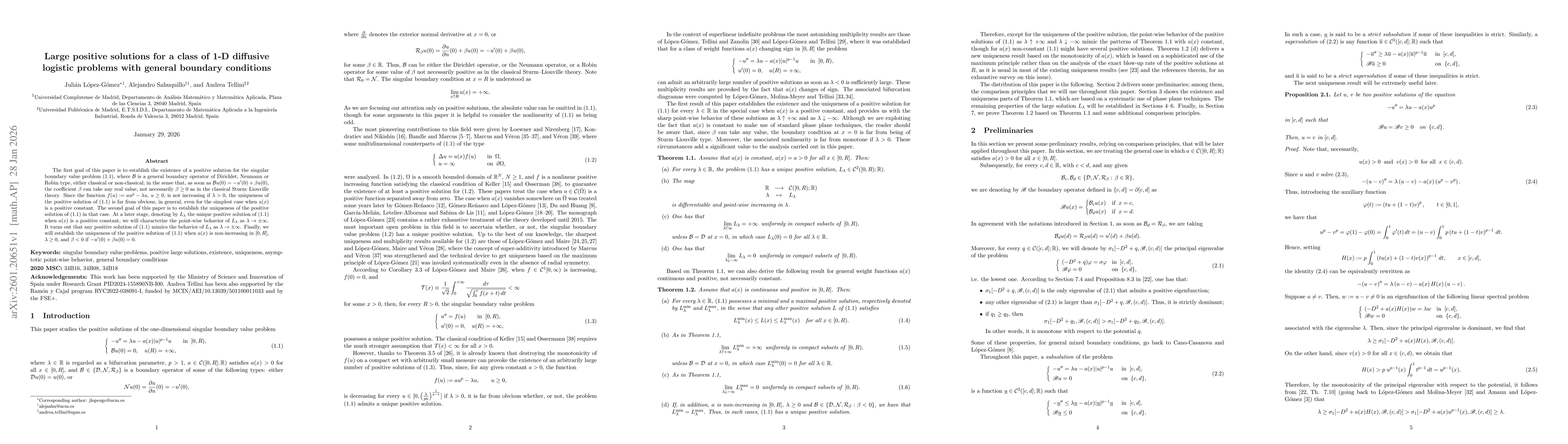 Thumbnail for Large positive solutions for a class of 1-D diffusive logistic problems with general boundary conditions