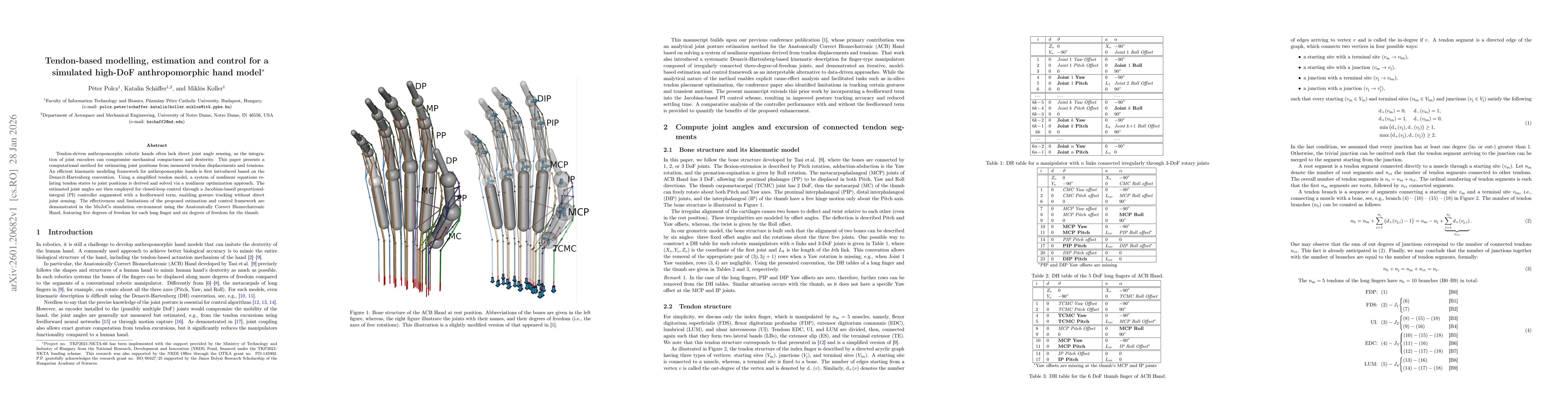 Thumbnail for Tendon-based modelling, estimation and control for a simulated high-DoF anthropomorphic hand model
