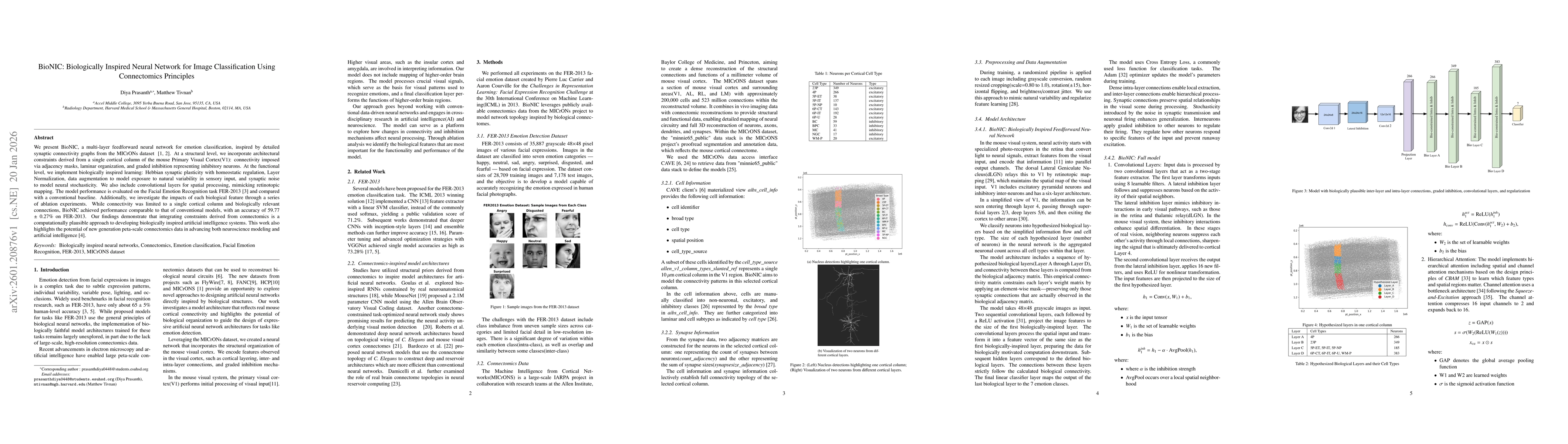 Thumbnail for BioNIC: Biologically Inspired Neural Network for Image Classification Using Connectomics Principles