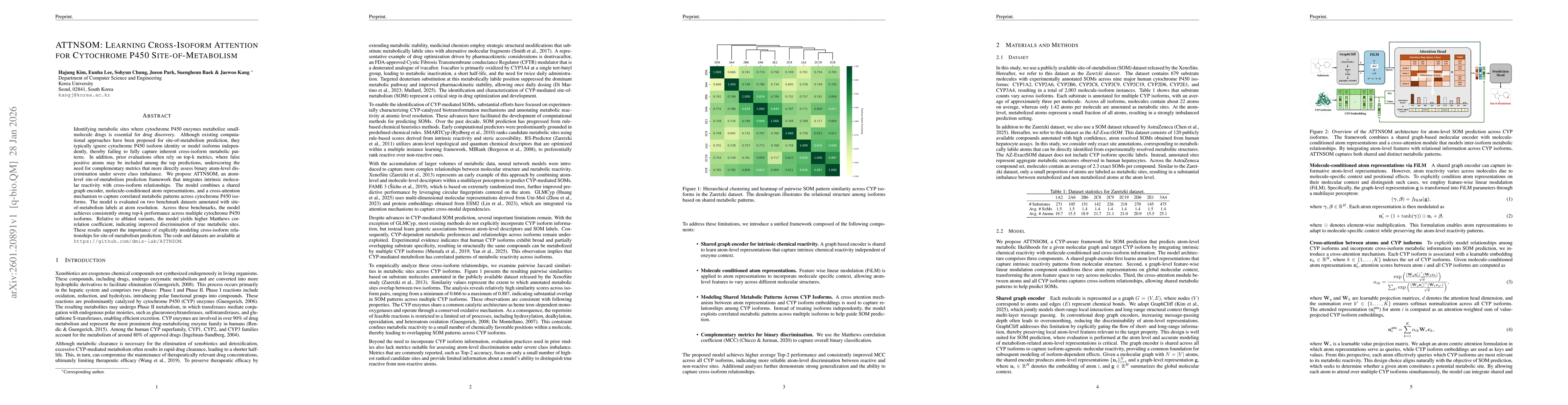 Thumbnail for ATTNSOM: Learning Cross-Isoform Attention for Cytochrome P450 Site-of-Metabolism