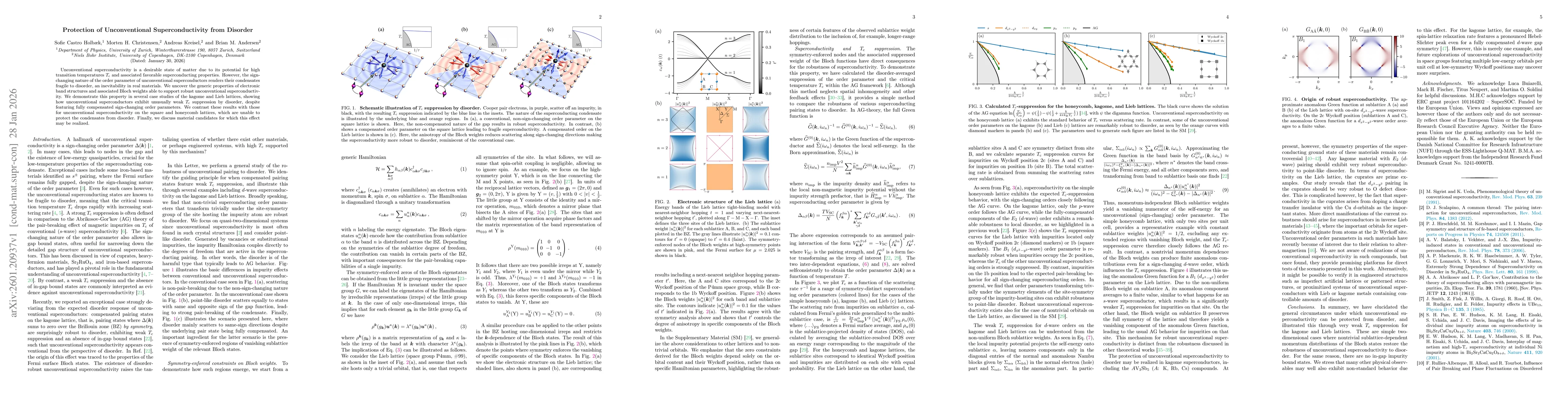Thumbnail for Protection of Unconventional Superconductivity from Disorder