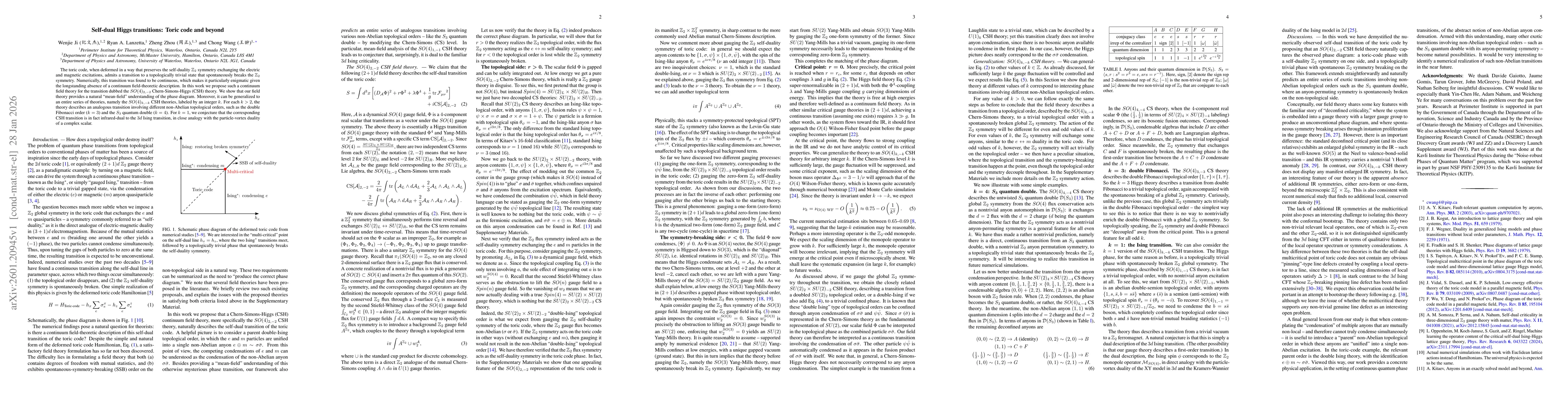 Thumbnail for Self-dual Higgs transitions: Toric code and beyond