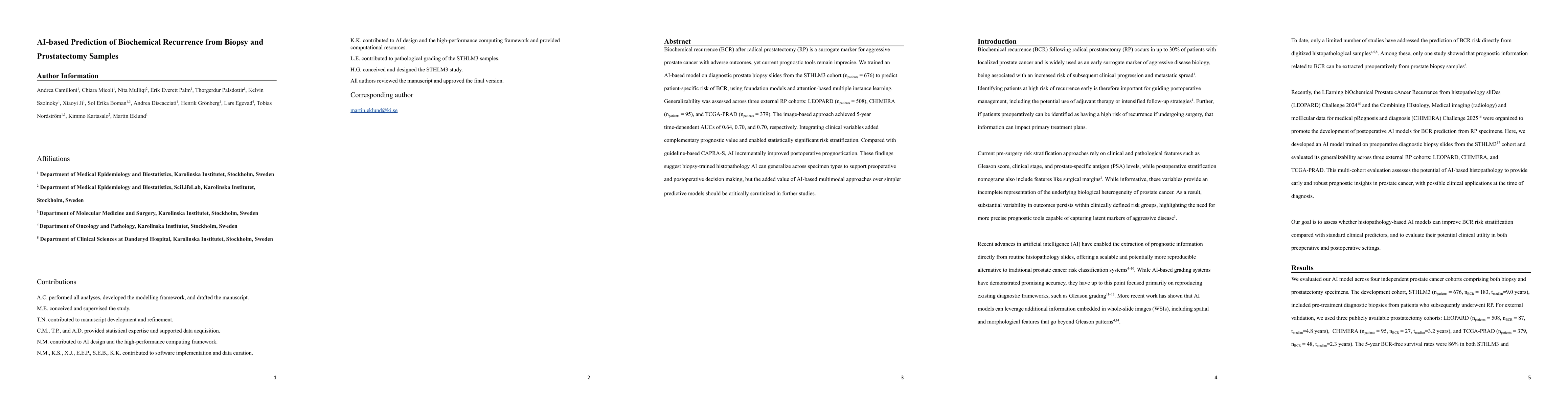 Thumbnail for AI-based Prediction of Biochemical Recurrence from Biopsy and Prostatectomy Samples