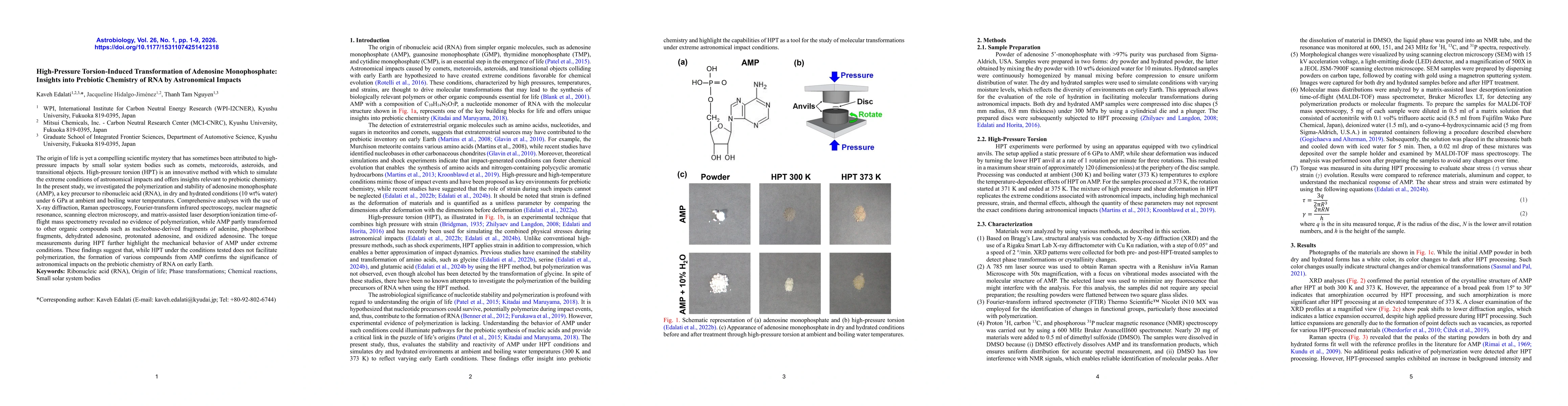 Thumbnail for High-Pressure Torsion-Induced Transformation of Adenosine Monophosphate: Insights into Prebiotic Chemistry of RNA by Astronomical Impacts