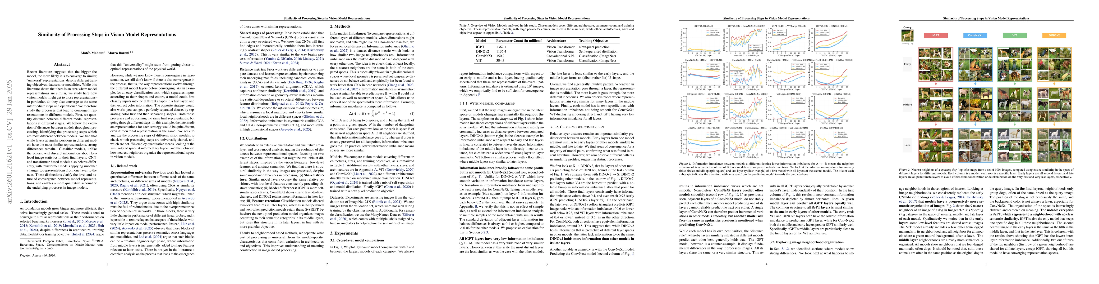 Thumbnail for Similarity of Processing Steps in Vision Model Representations