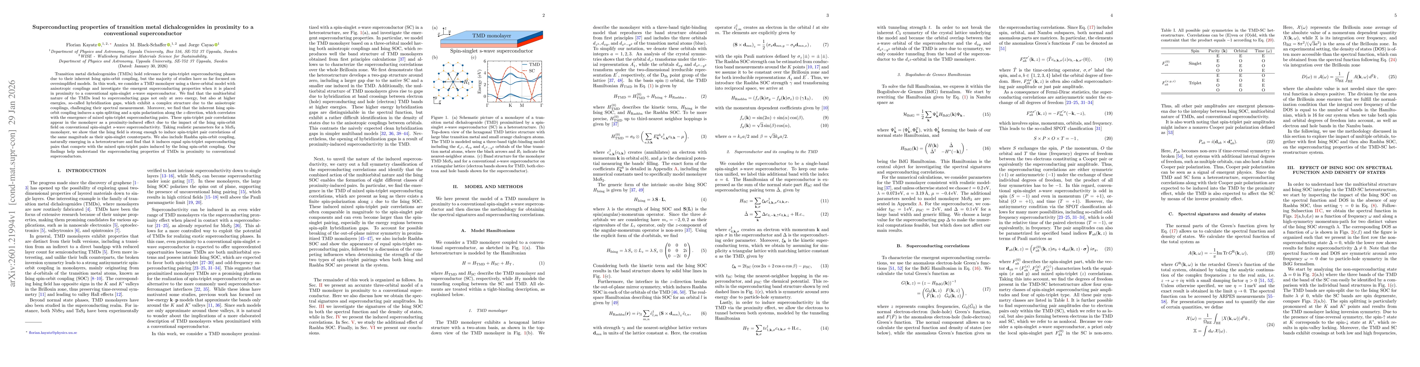 Thumbnail for Superconducting properties of transition metal dichalcogenides in proximity to a conventional superconductor