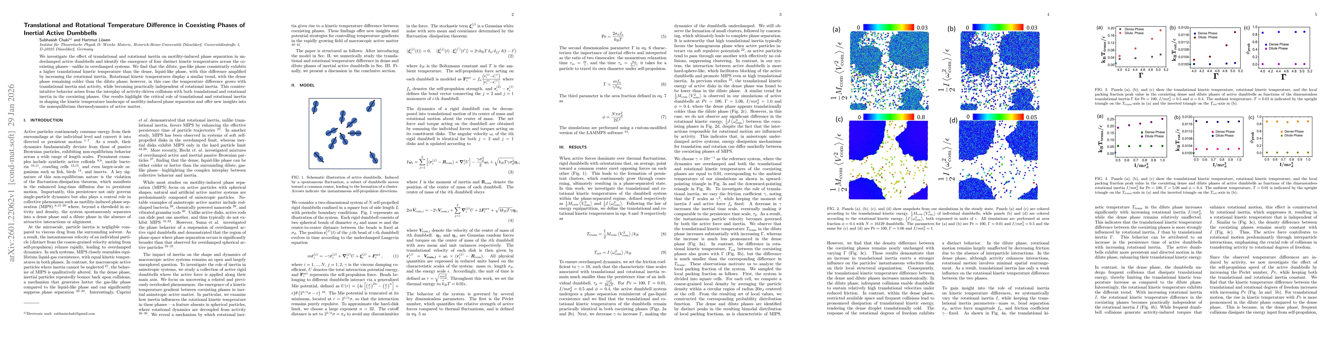 Thumbnail for Translational and Rotational Temperature Difference in Coexisting Phases of Inertial Active Dumbbells