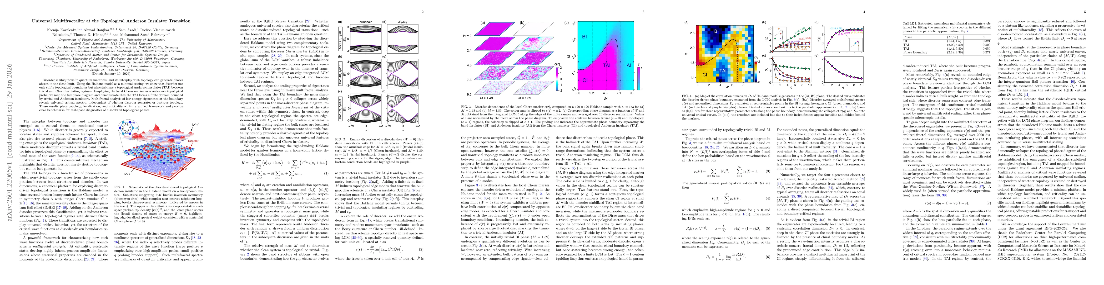 Thumbnail for Universal Multifractality at the Topological Anderson Insulator Transition
