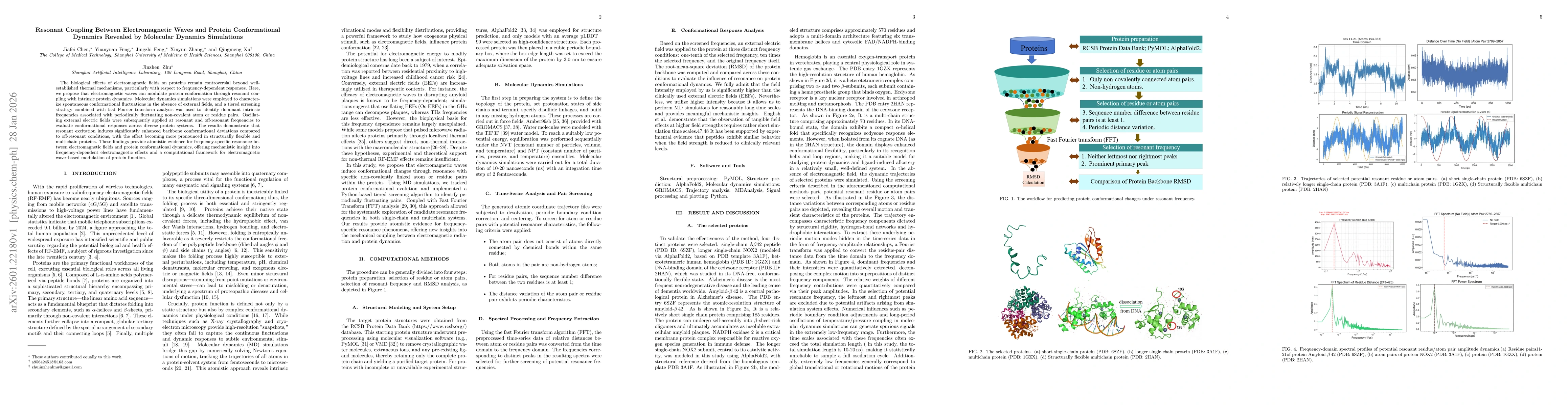 Thumbnail for Resonant Coupling Between Electromagnetic Waves and Protein Conformational Dynamics Revealed by Molecular Dynamics Simulations