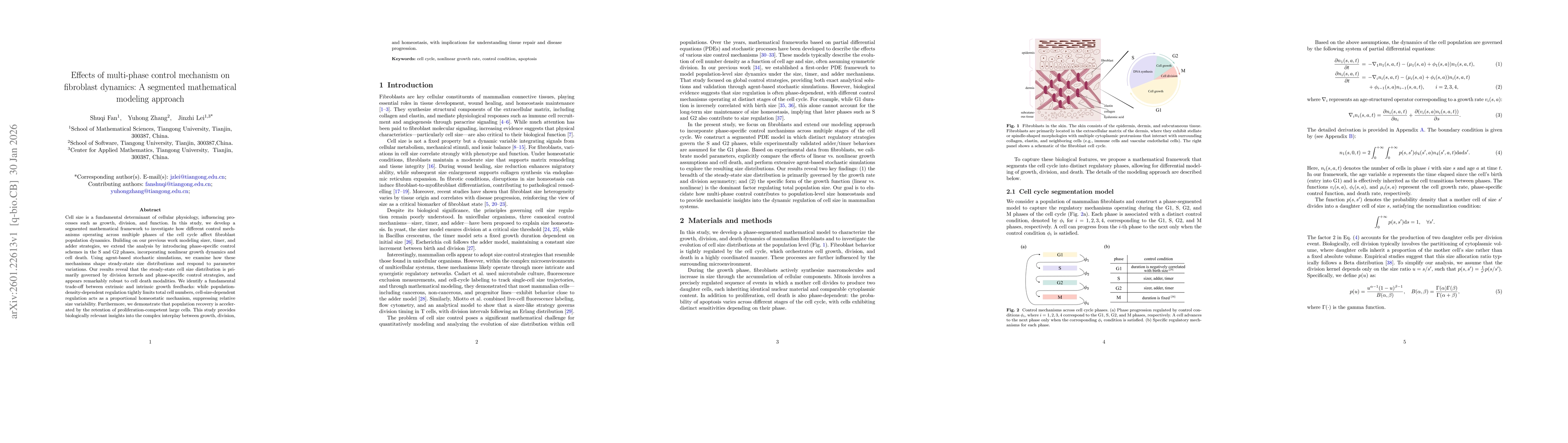 Thumbnail for Effects of multi-phase control mechanism on fibroblast dynamics: A segmented mathematical modeling approach