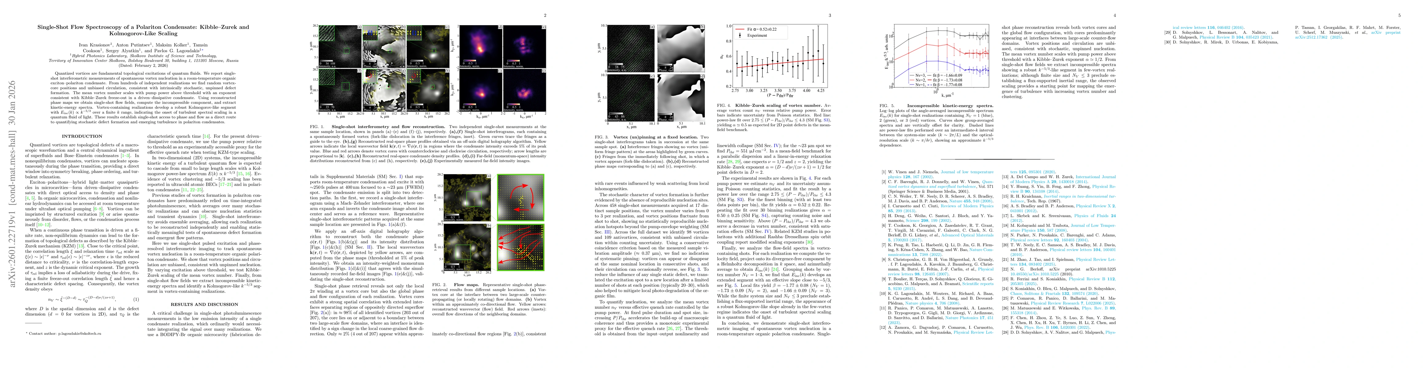 Thumbnail for Single-Shot Flow Spectroscopy of a Polariton Condensate: Kibble-Zurek and Kolmogorov-Like Scaling