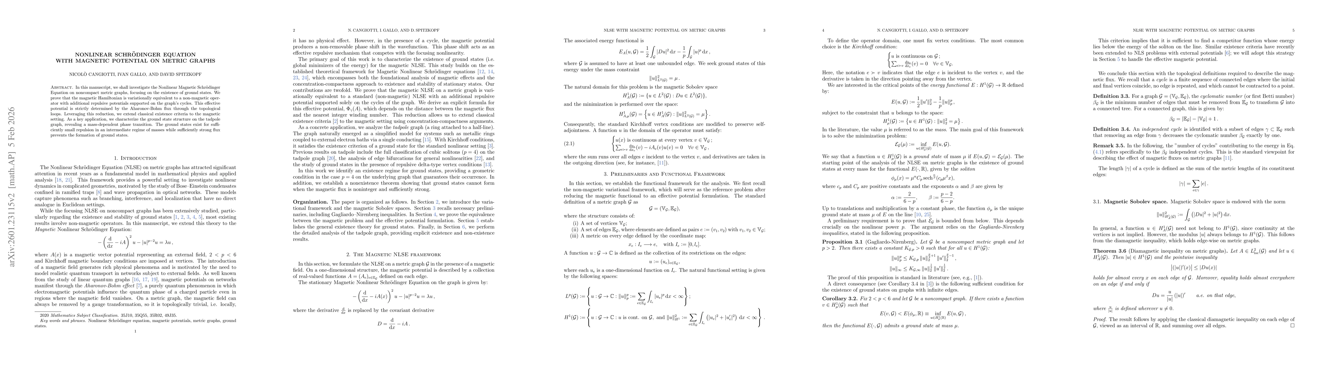 Thumbnail for Nonlinear Schrödinger Equation with magnetic potential on metric graphs