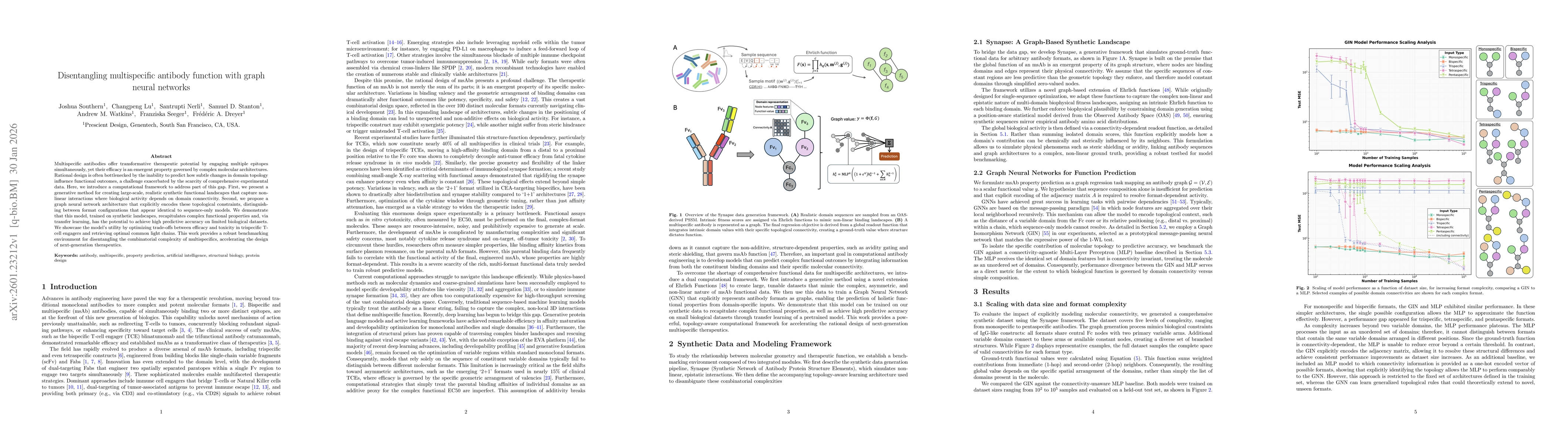 Thumbnail for Disentangling multispecific antibody function with graph neural networks