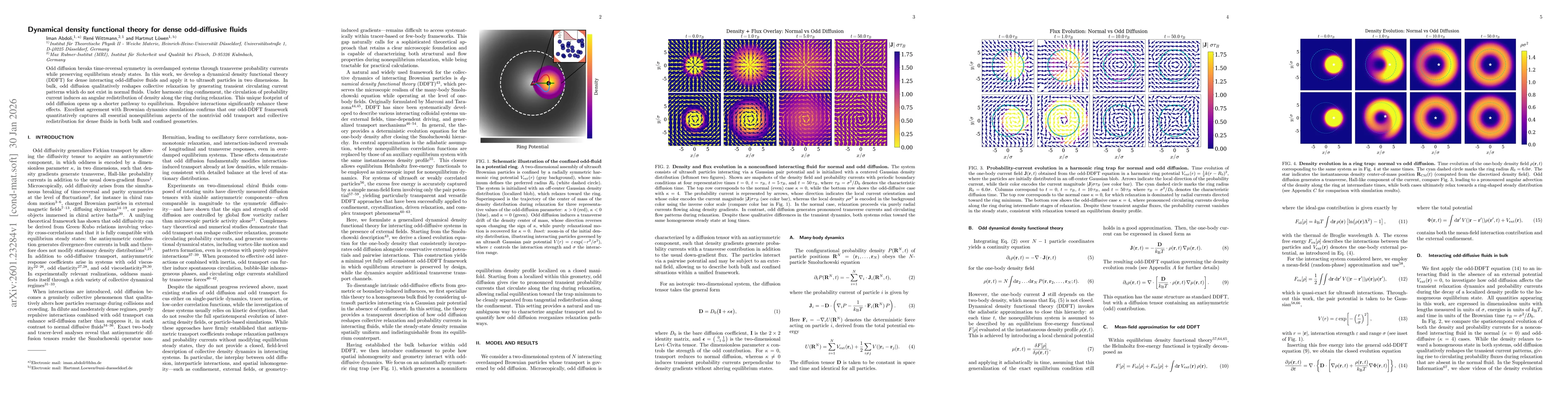 Thumbnail for Dynamical density functional theory for dense odd-diffusive fluids