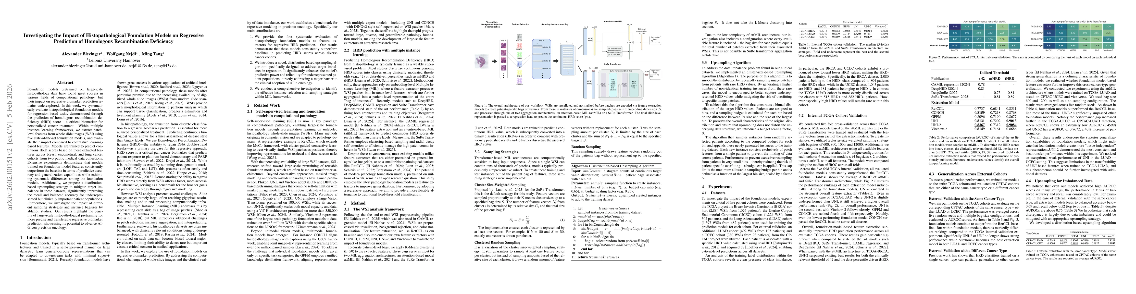 Thumbnail for Investigating the Impact of Histopathological Foundation Models on Regressive Prediction of Homologous Recombination Deficiency