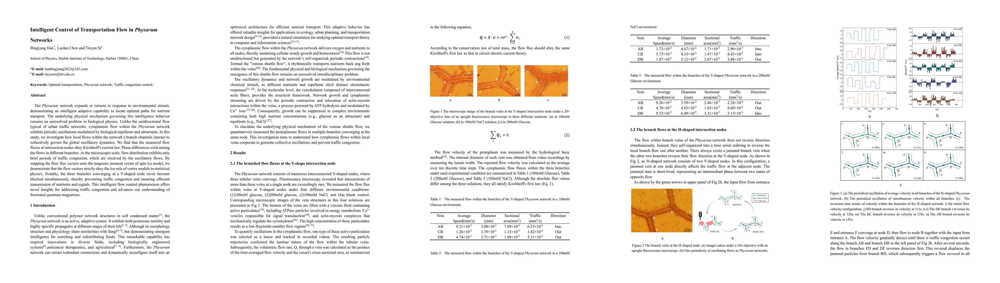 Thumbnail for Intelligent Control of Transportation Flow in Physarum Networks